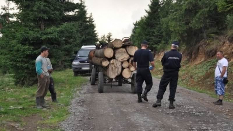 patru sibieni din rusciori prinși cu o căruță cu lemne furate