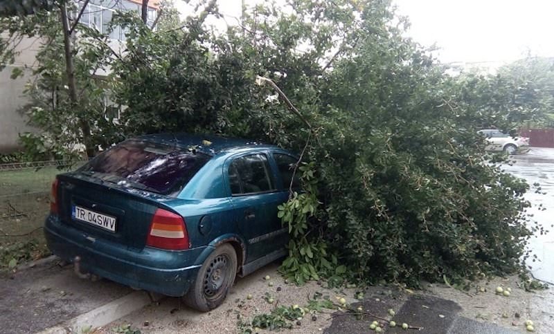 foto – furtunile au făcut ravagii în țară. copaci smulși din rădăcini și acoperișuri spulberate de vijelii