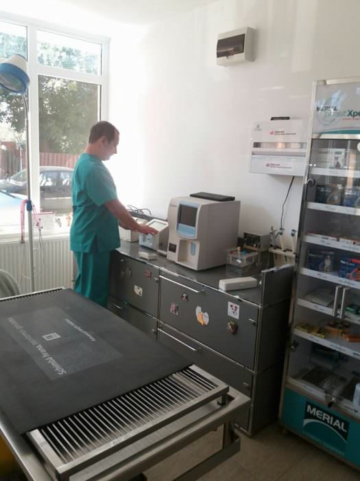 foto - prima clinică modernă pentru animale din sibiu. e gata pentru inaugurare