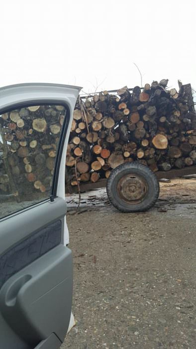 foto - transport de lemne furate descoperit de polițiști la colun