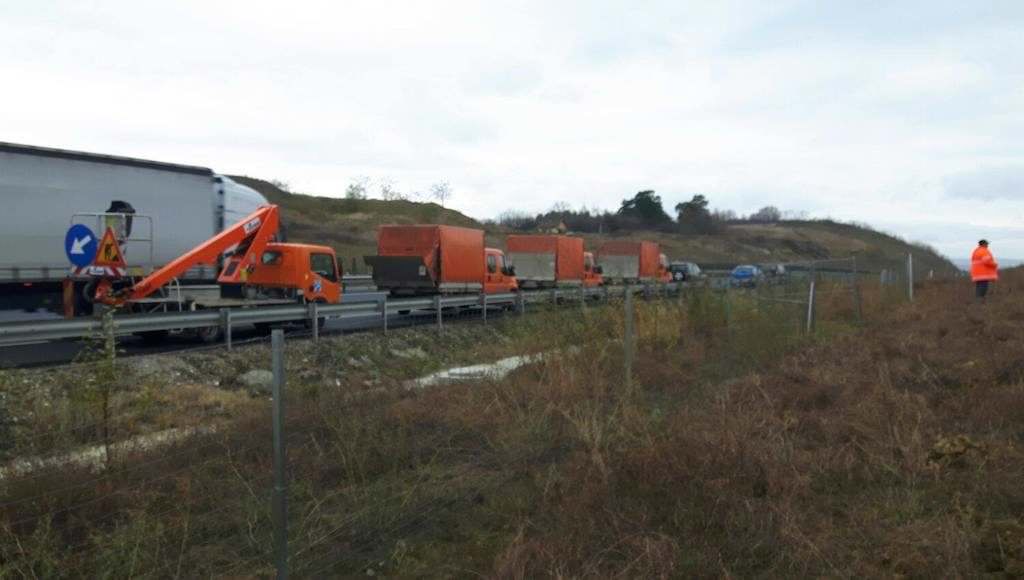 FOTO - Salcâmi plantați pe autostrada Sibiu - Orăștie pentru oprirea alunecărilor de teren