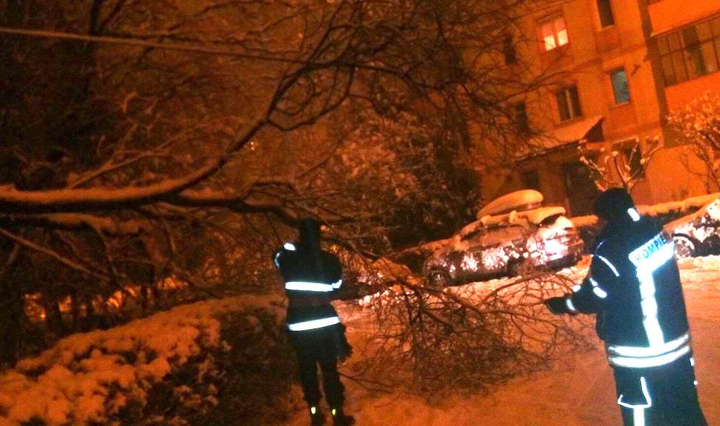 foto copaci și stâlpi căzuți din cauza zăpezii la sibiu, rășinari și tilișca
