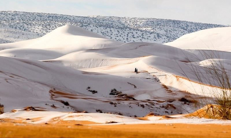 foto a nins în sahara. a treia oară în 40 de ani