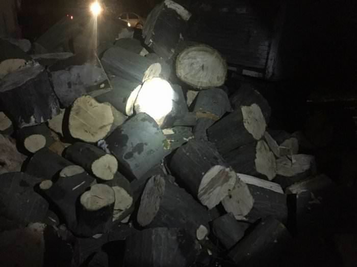 foto amendă de 10.000 de lei pentru un sibian prins cu lemne furate