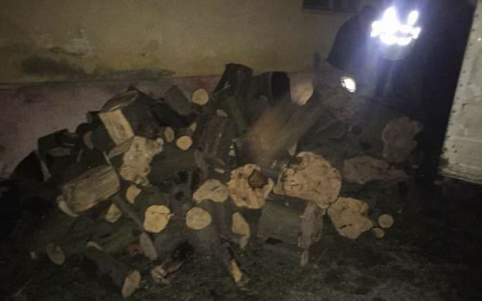 foto amendă de 10.000 de lei pentru un sibian prins cu lemne furate