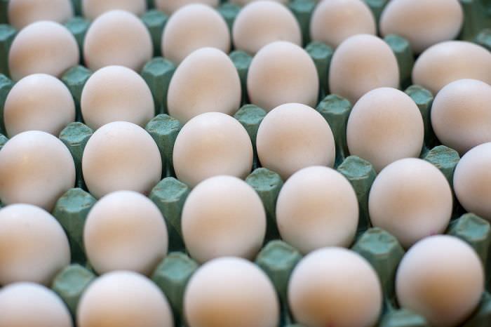 alertă - mai mult de patru milioane de ouă contaminate cu o substanță interzisă, găsite la o fermă din teleorman
