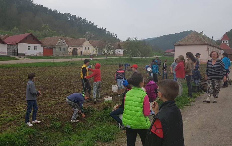 foto - gest demn de urmat. la prod sătenii au făcut curățenie generală