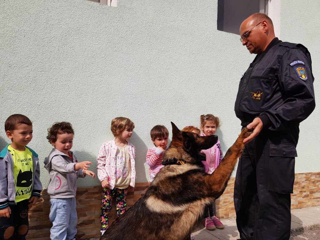 polițiștii au descins la grădinițele din cisnădie și cisnădioara