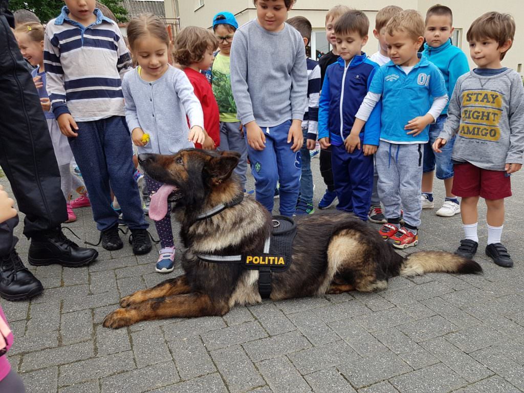 polițiștii au descins la grădinițele din cisnădie și cisnădioara