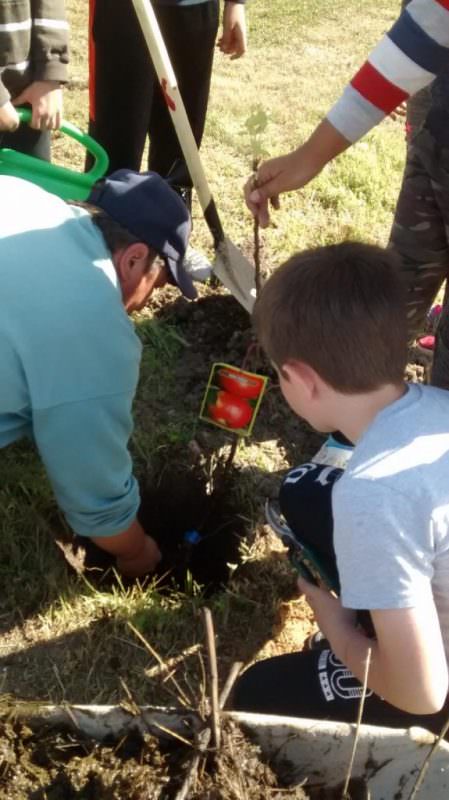 Elevii din zece școli din județul Sibiu cultivă fructe și legume