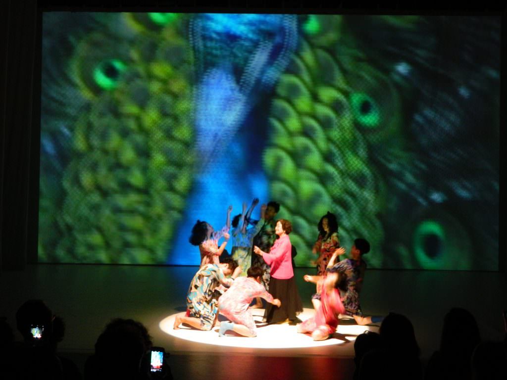 foto/video - flamenco, tobe, culorile columbiei, bolero pe ritmuri tribale și bunicuțe dansatoare ieri la fits!