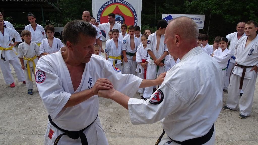 cupa româniei la karate kyokushin adună peste 150 de sportivi pe tatamiurile din sala transilvania
