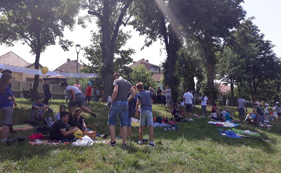 FOTO - Acțiune inedită în parcul Sub Arini - Expoziție de fotografie veche și picnic în aer liber cu elevii