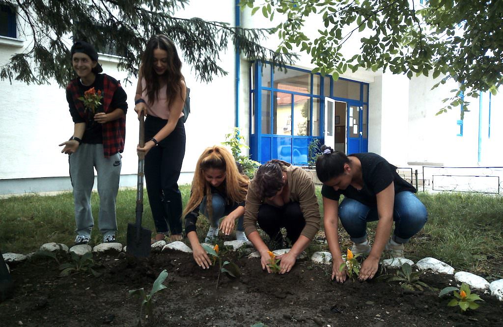 foto elevii și studenții sibieni au dovedit că ”iubim sibiul! să-l lăsăm să respire!”
