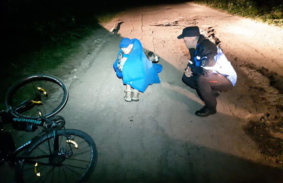 video – foto biciclist rănit ajutat de un câine să supraviețuiască - imagini impresionante
