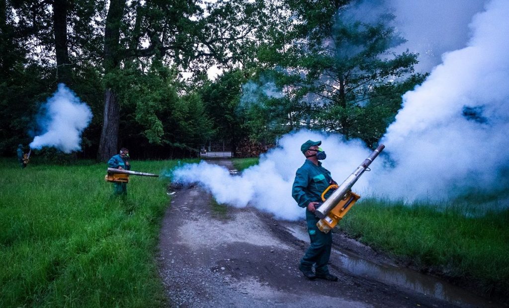 primăria sibiu va desfășura a patra acțiune de dezinsecție împotriva țânțarilor