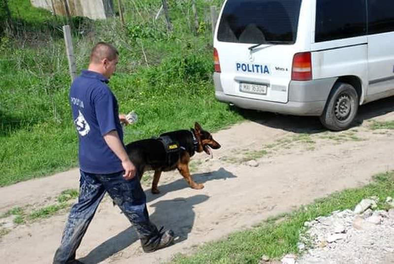 câinele care a băgat spaima în criminali și infractori se pensionează – a fost ”școlit” la sibiu