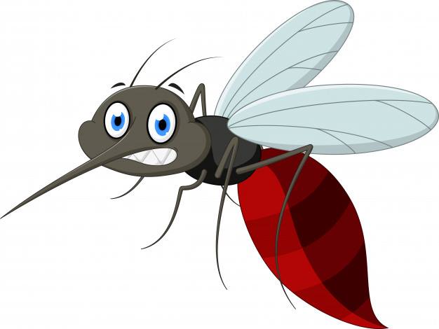 două nopți de combaterea a țânțarilor pe raza municipiului sibiu