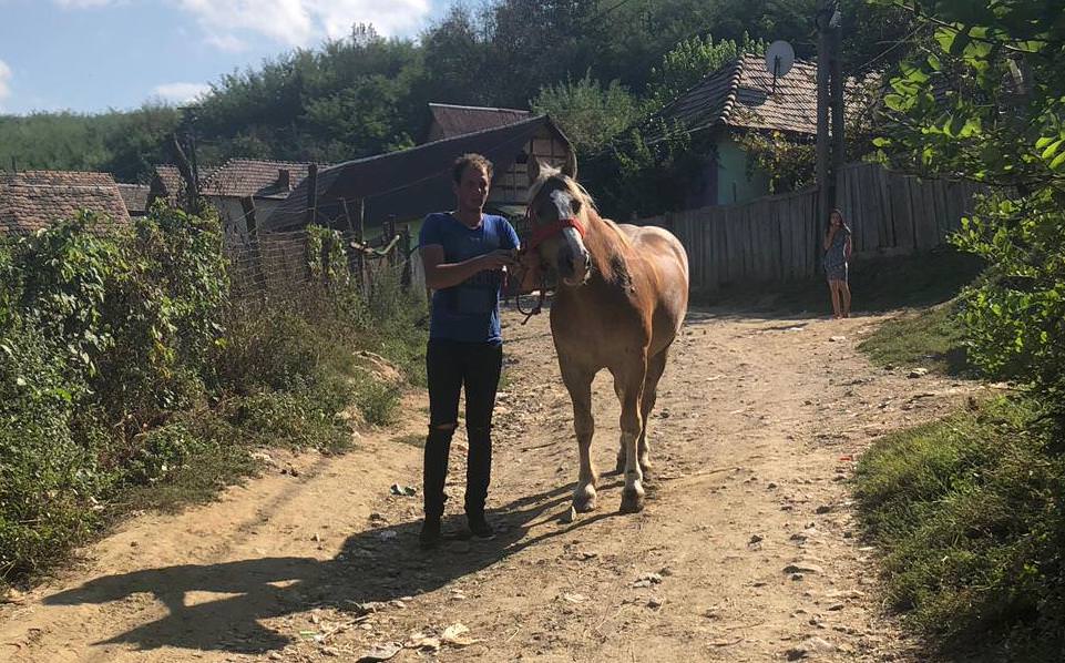 foto cal furat la petrila, găsit după mai bine de o lună la sibiu