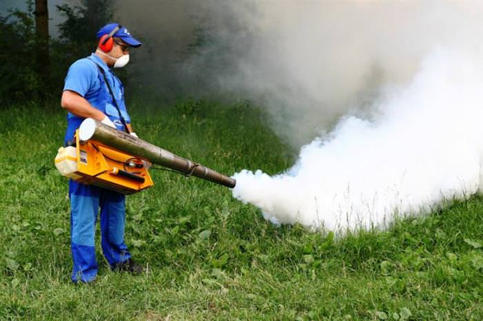 o nouă acțiune de dezinsecție împotriva țânțarilor și căpușelor în municipiul sibiu