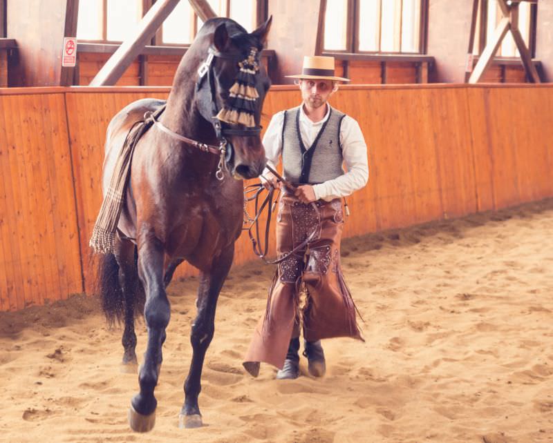 cum a fost la prima ediție dracula horse festival