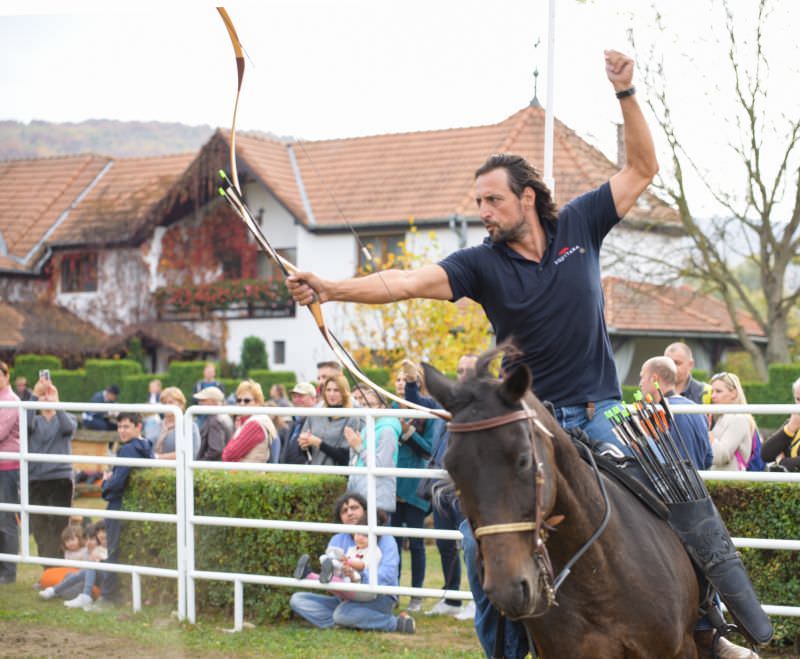 cum a fost la prima ediție dracula horse festival