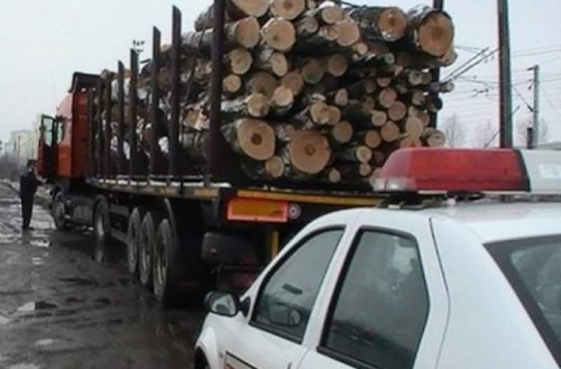 sibian prins cu lemne furate în olt - a prezentat acte false