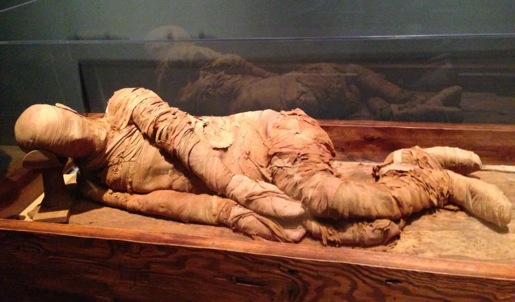 s-a prelungit programul pentru vizitarea mumiilor din piața mică
