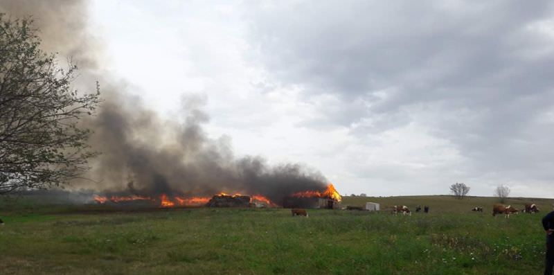 foto video incendiu în bungard. flăcări mari