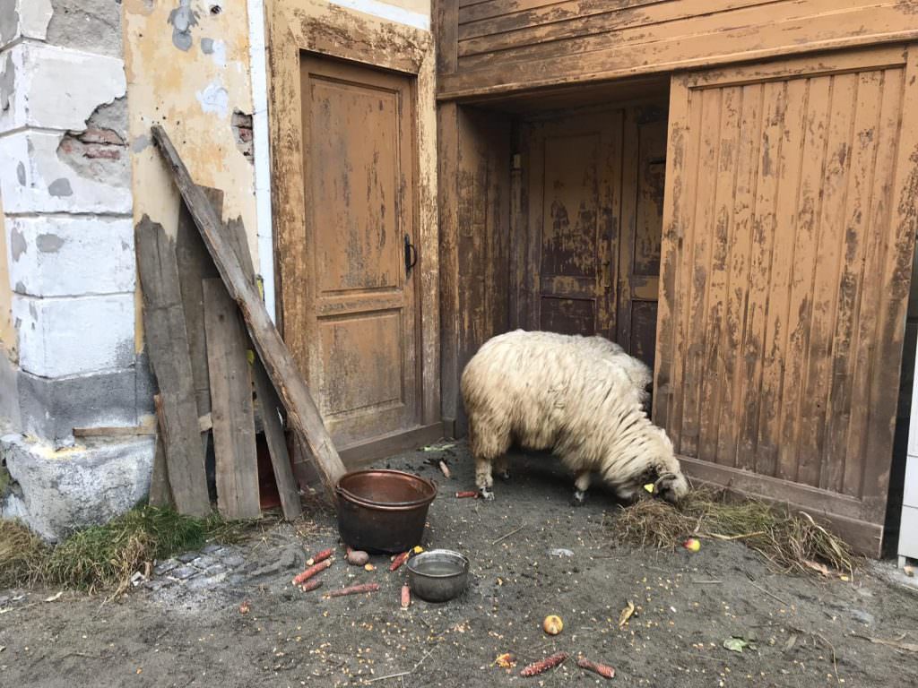 foto sibiu - platou de filmare pentru o reclamă la o mașină de lux