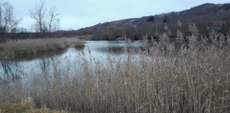 VIDEO FOTO Femeie găsită decedată într-un lac. A fost căutată două zile