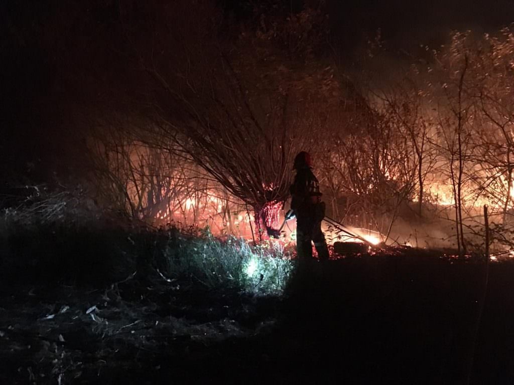 incendiu de vegetație uscată la jina - intervin pompierii