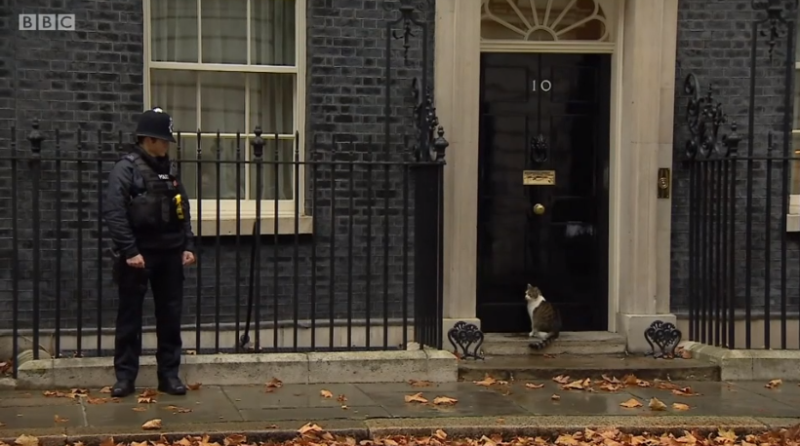 video situație grea pentru motanul premierului marii britanii