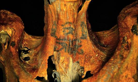 mumia cu tatuaje - misterul nedeslușit al tatuajelor vechi de 3000 de ani