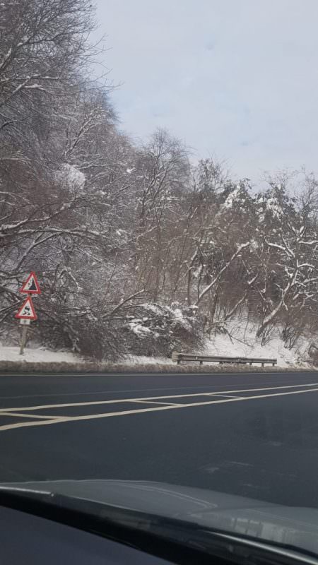 foto pericol pe valea oltului. zeci de copaci pot ajunge pe șosea