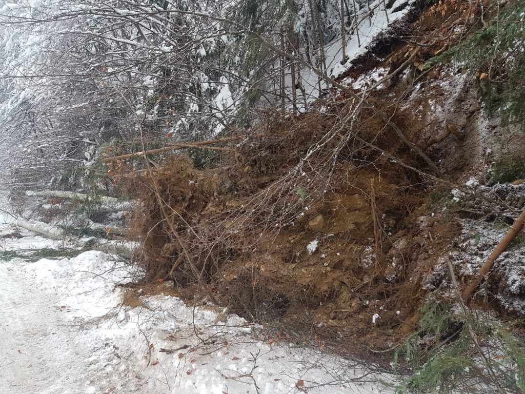 FOTO Pericol pe Valea Oltului. Zeci de copaci pot ajunge pe șosea