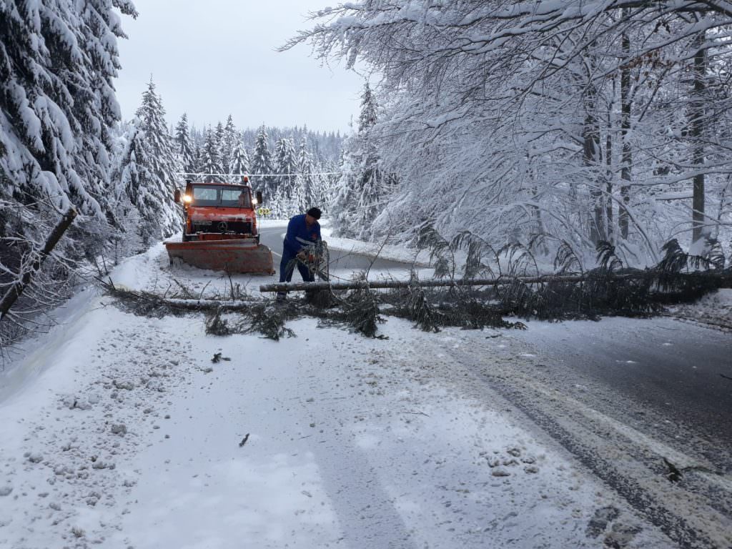 VIDEO FOTO Vreme severă în 11 județe - Orașe acoperite de zăpadă și drumuri blocate