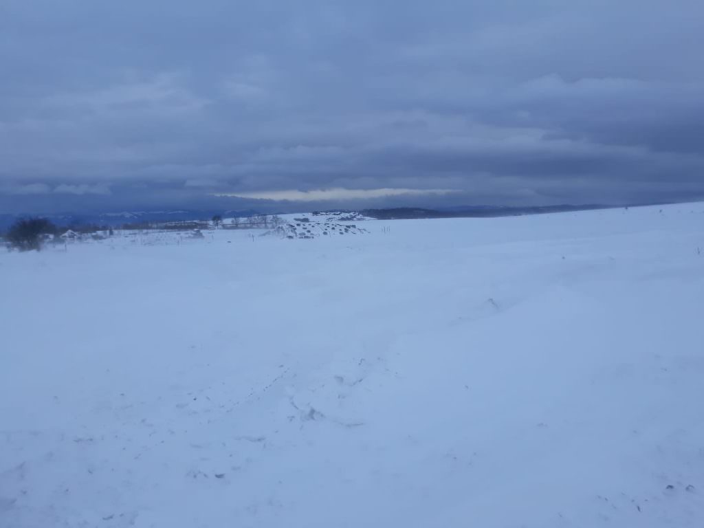 VIDEO FOTO Mașini înzăpezite la Ocna Sibiului. Cinci oameni au nevoie de ajutor