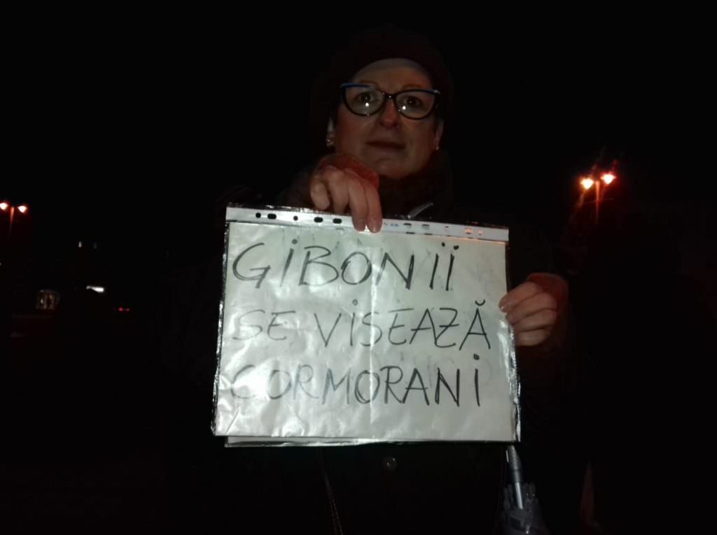 video foto peste 600 de sibieni la protestul anti-psd: "viorica, fă ceva! gramatica!"