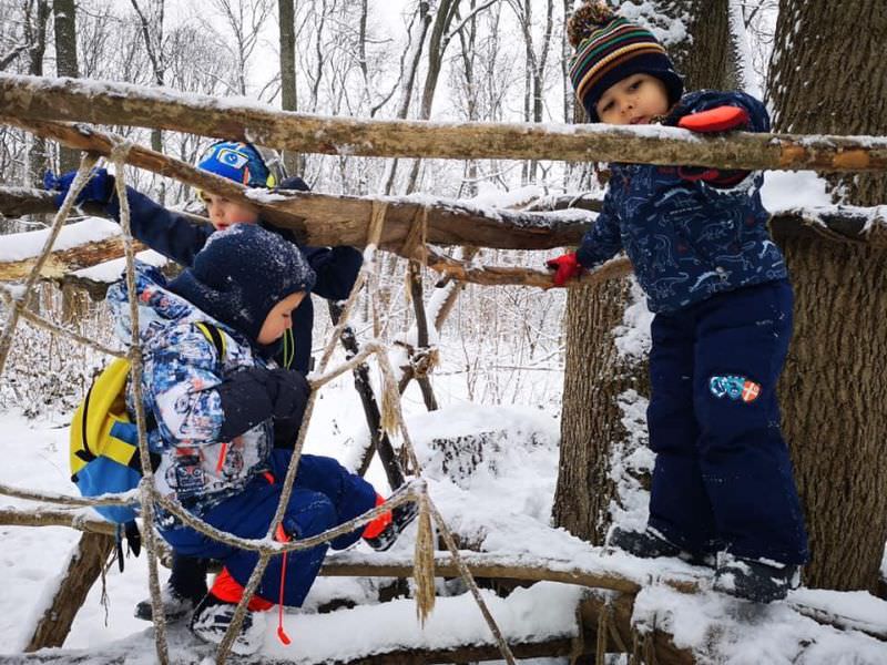 locul din sibiu în care copiii sunt fericiți și fac ce vor – ”grădinița în pădure” ține ”kinderii” în natură