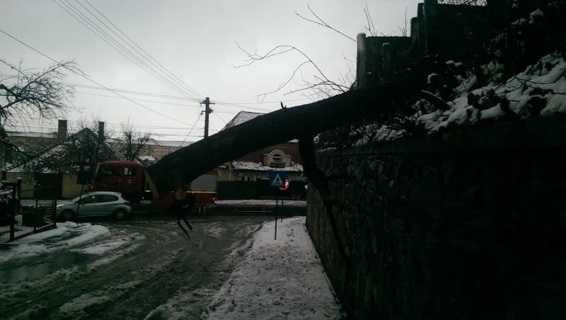 foto - drumuri blocate de copaci căzuți în județul sibiu