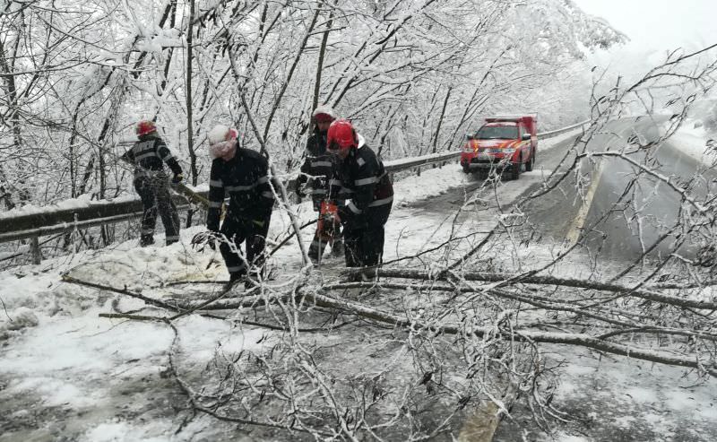 foto - drumuri blocate de copaci căzuți în județul sibiu