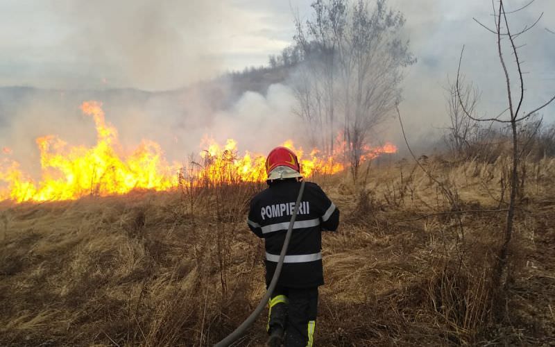 incendiu de vegetație la veștem, stins de pompieri