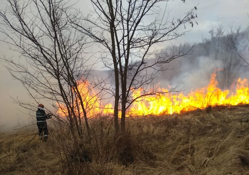 incendiu de vegetație lângă mediaș - intervin pompierii