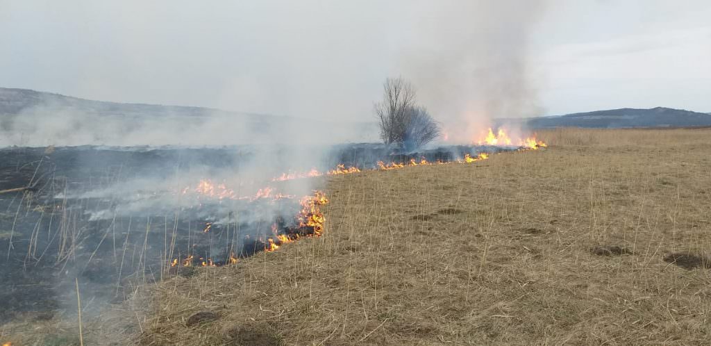 foto incendiu de vegetație între apoldu de jos și apoldu de sus