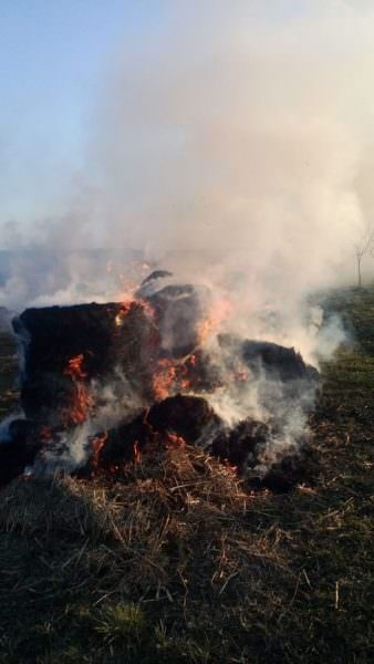 foto zi de foc pentru pompierii sibieni. au ars mii de metri pătrați de vegetație