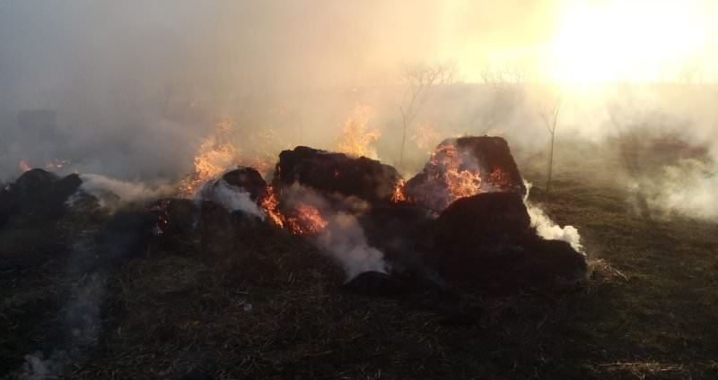 foto zi de foc pentru pompierii sibieni. au ars mii de metri pătrați de vegetație