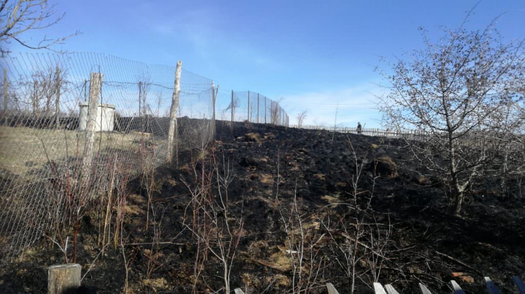 foto incendiu de vegetație la săcel - a ars și un gard de lemn