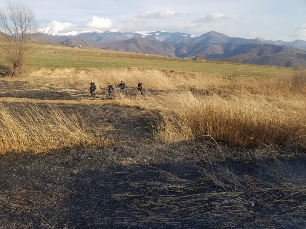 FOTO Incendiu de vegetație uscată la Boița