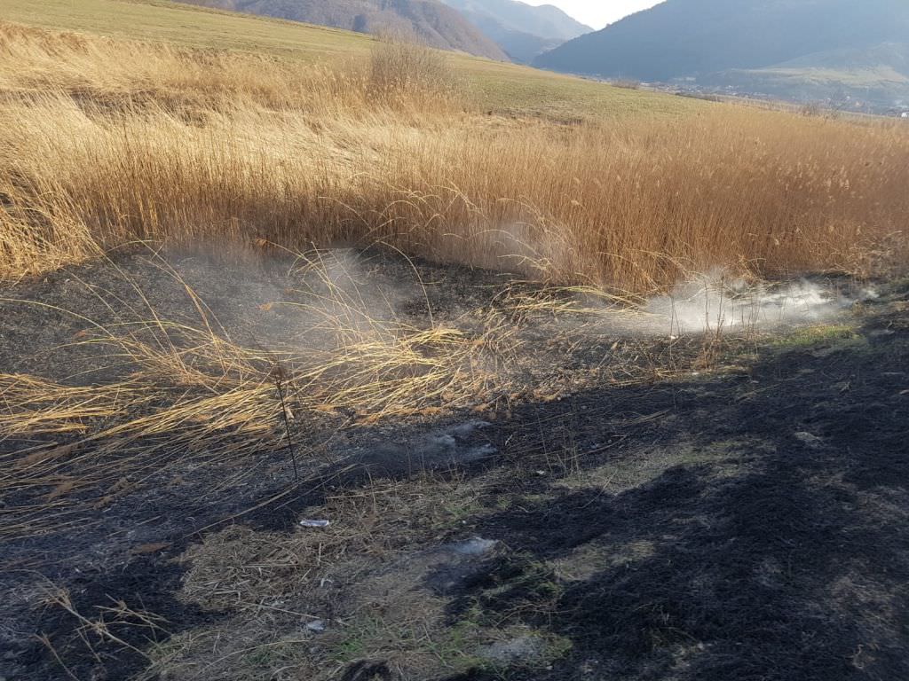 foto incendiu de vegetație uscată la boița